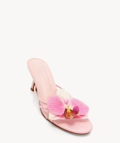 Qpoint.shopad91a22602 2